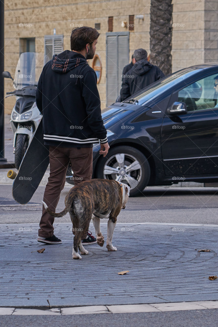 Two loves: dogs and skateboard