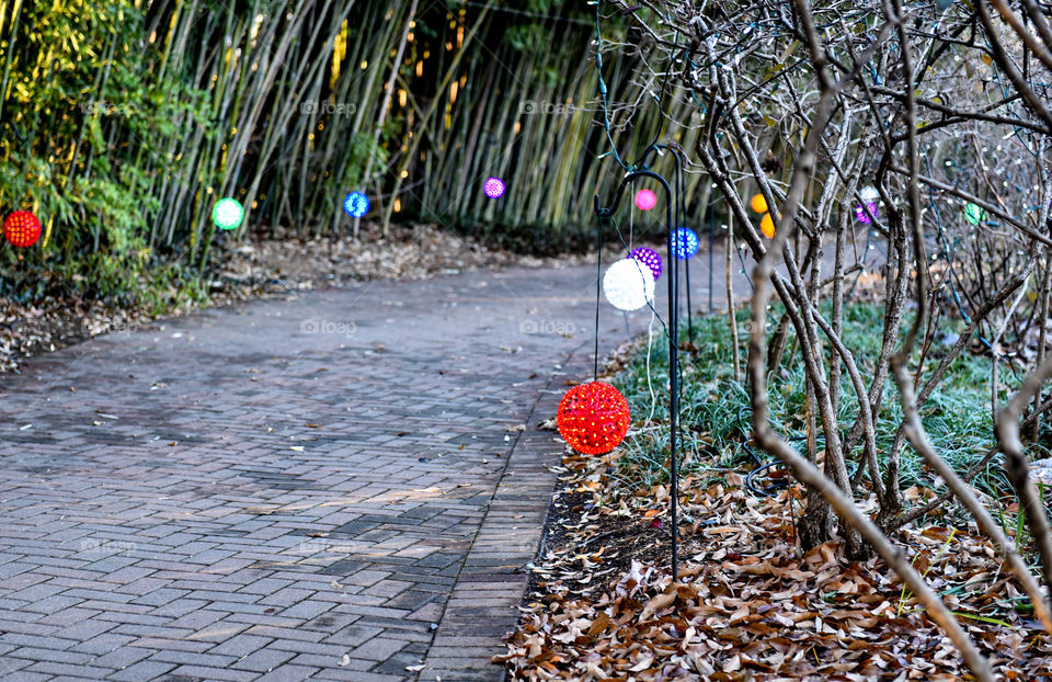 Sidewalk lined with and illuminated by Christmas holiday lights