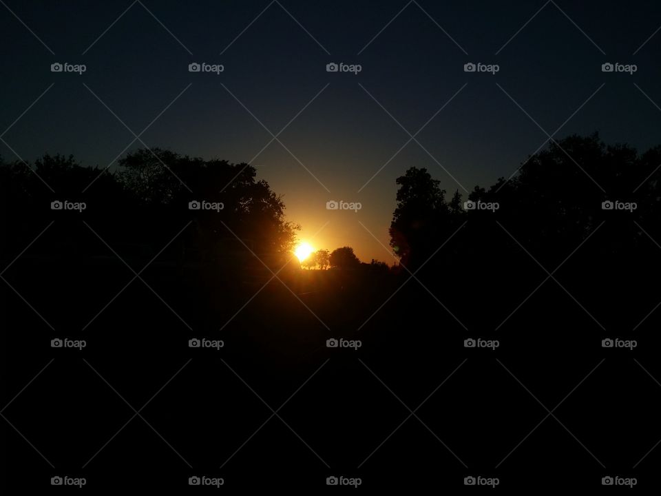 Beautiful sunset peeking through the trees