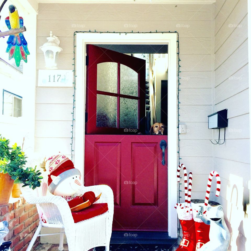 Red door 