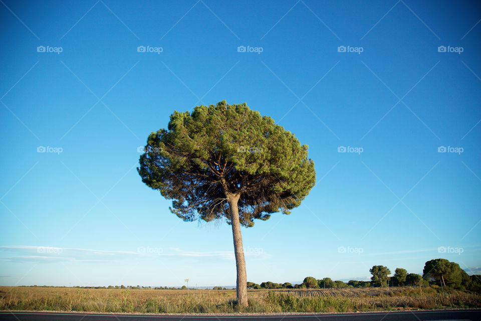 Spain Countryside.