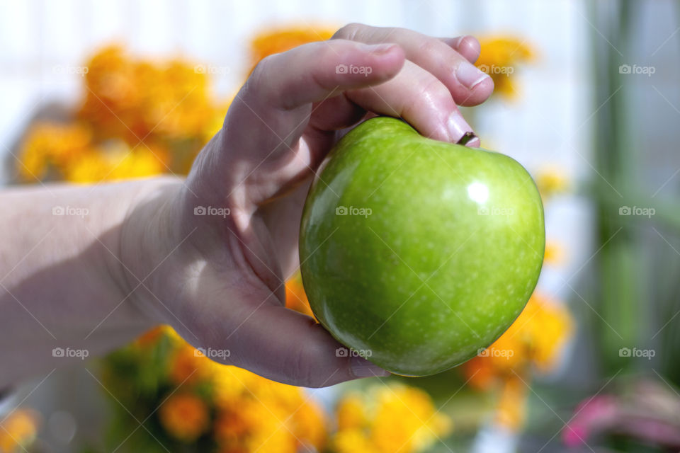 Green apple in hand
