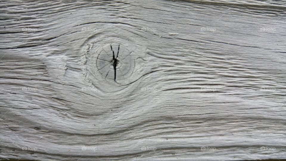 close -up of wood