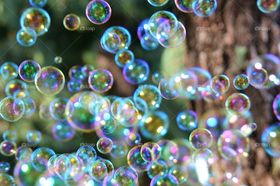 Bubbles 