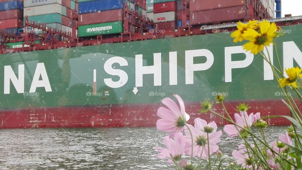 hamburg harbour china shipping
