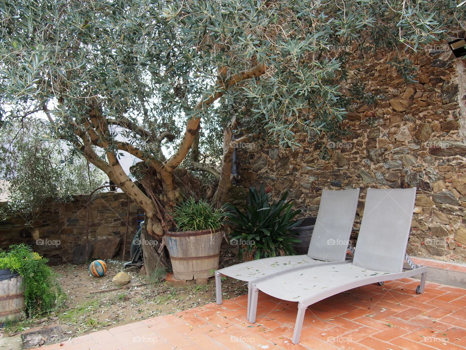 Lounge chairs in the garden