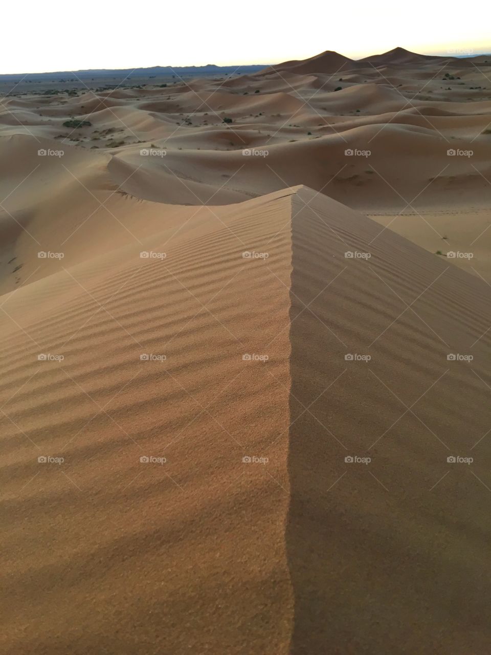 Desert, Sand, Dune, Wasteland, Arid