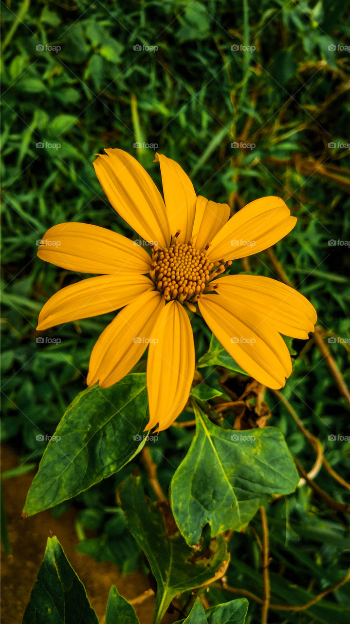 enjoying the color view!