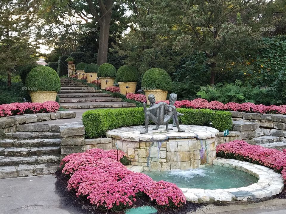 Fountain surrounded by mums