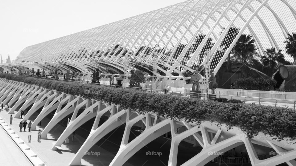 City of Arts and Science in Valencia, Spain 