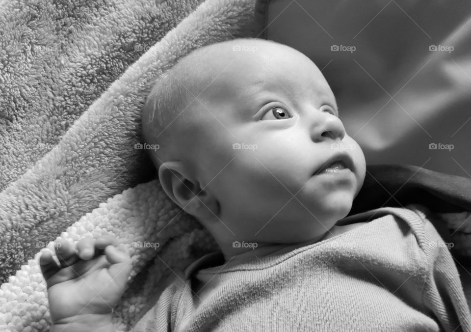 Side profile of an adorable baby. Gazing, happily into the distance.