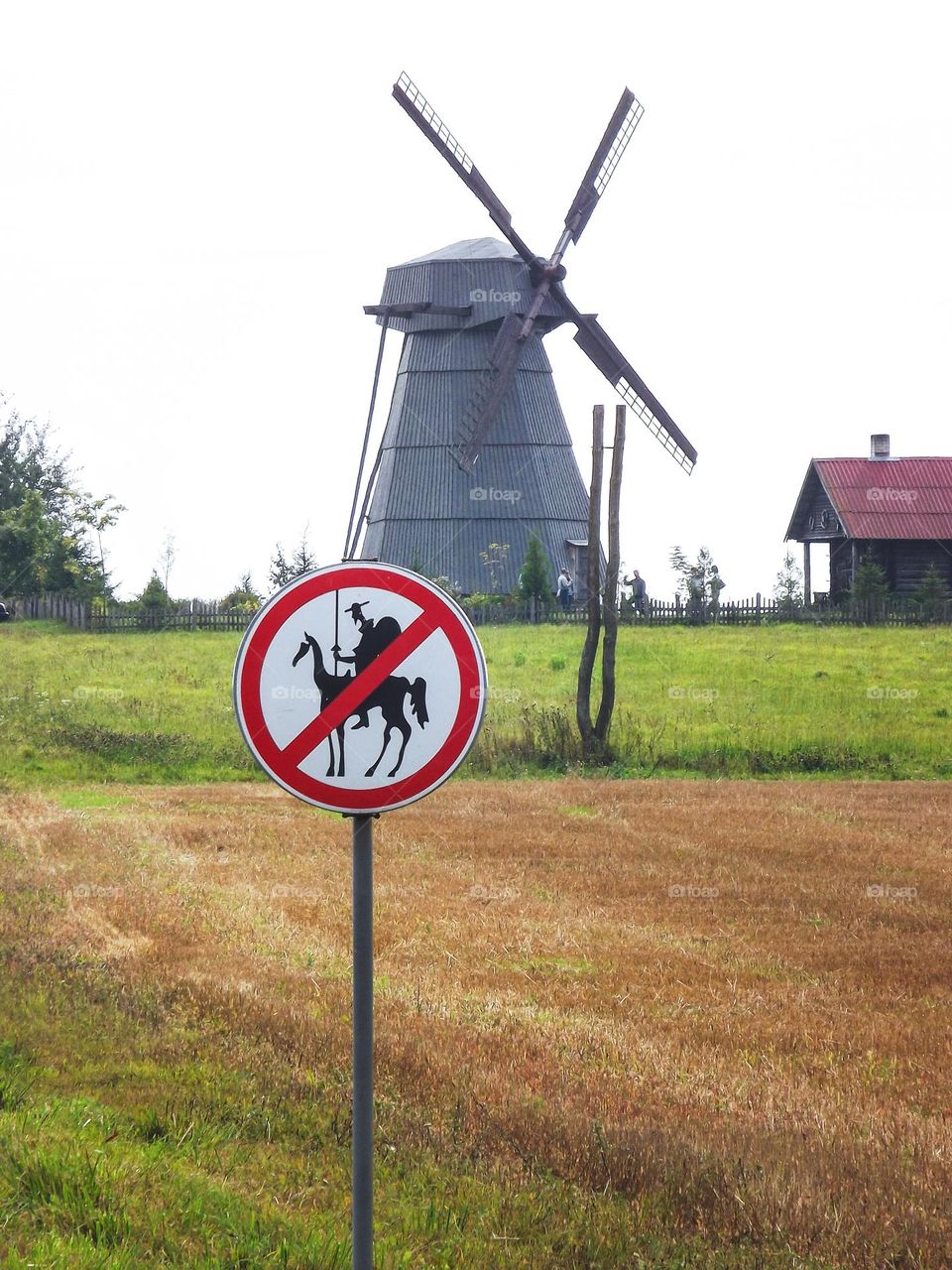 windmill in the middle of a field