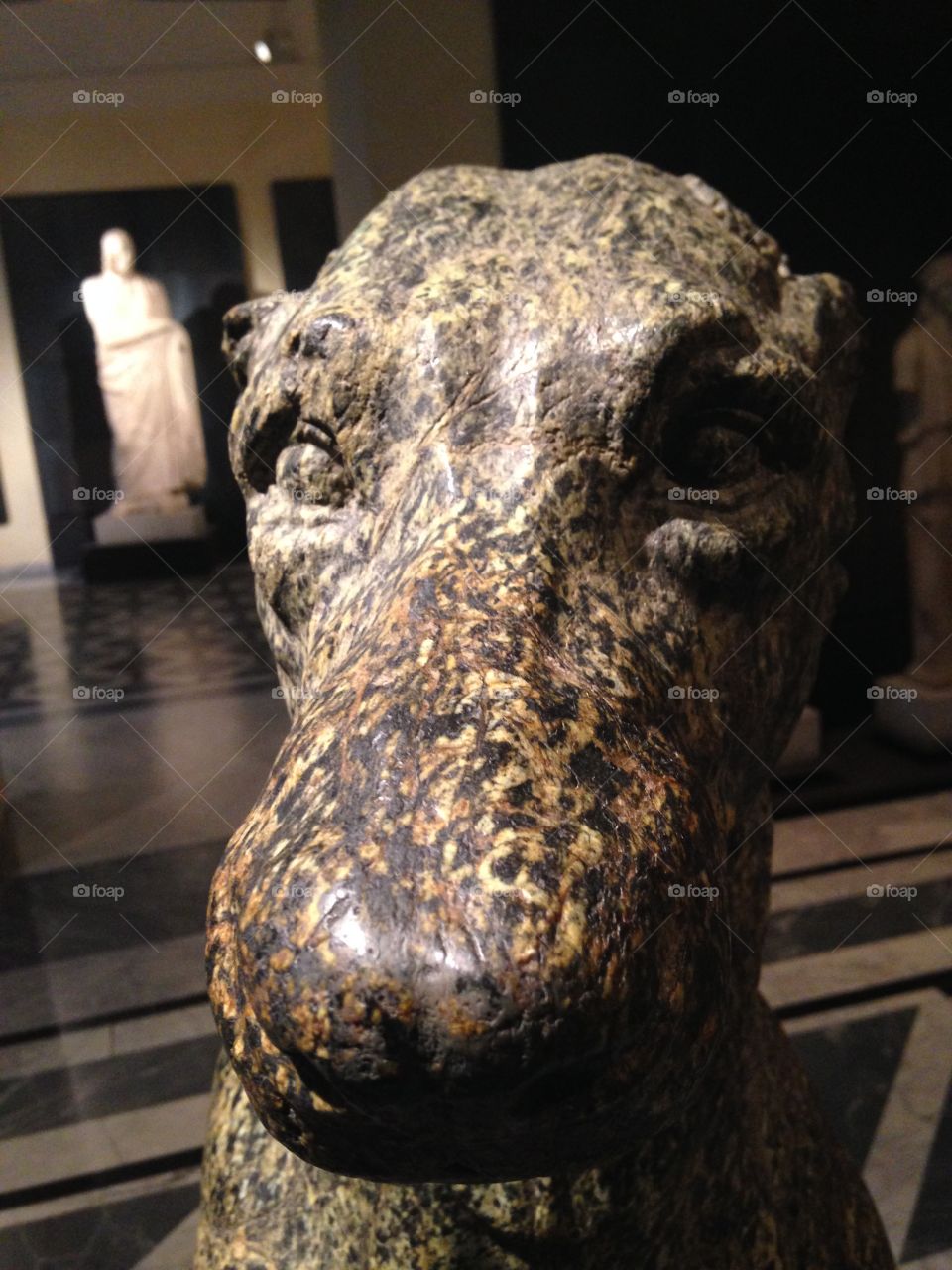 Ancient Dog Sculpture in Rome. An ancient sculpture of a Doberman in the Museo Capitolino in Rome