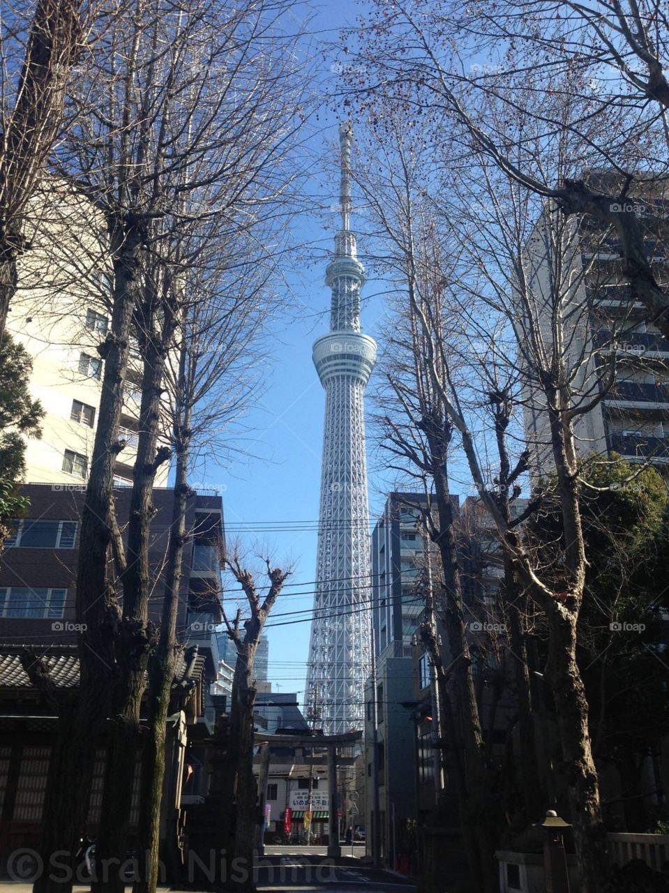 Sky tree Tokyo 