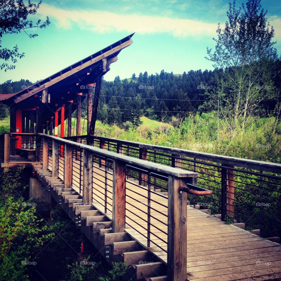 Drinking Horse Bridge