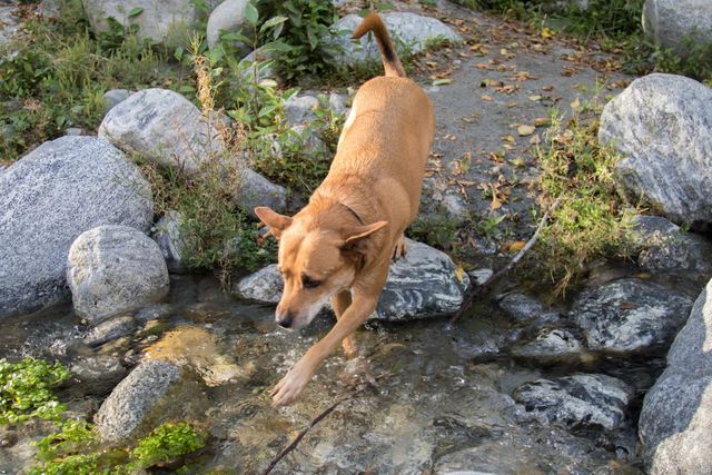 Nature, Outdoors, No Person, Rock, Water