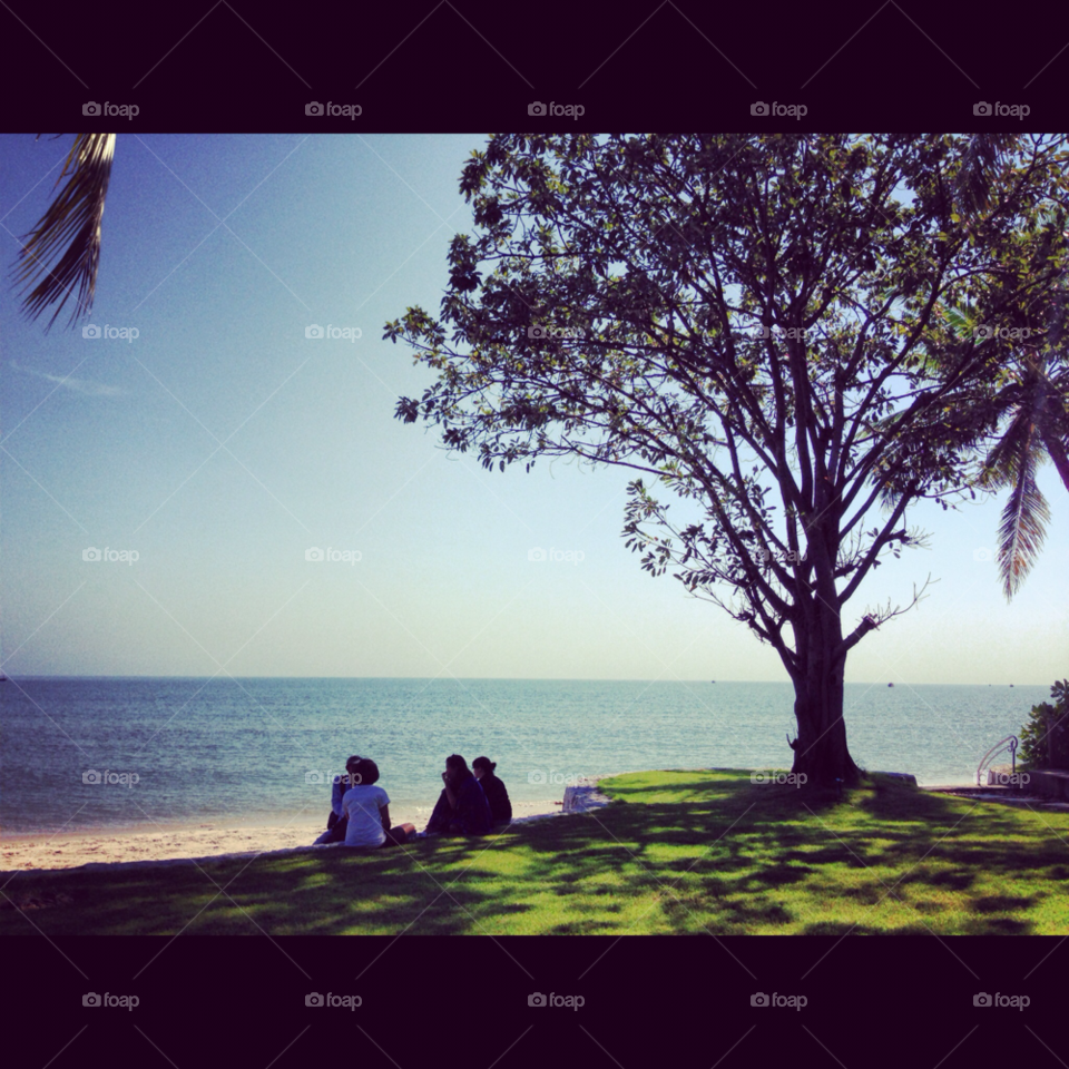 thailand beach tree by KengPP