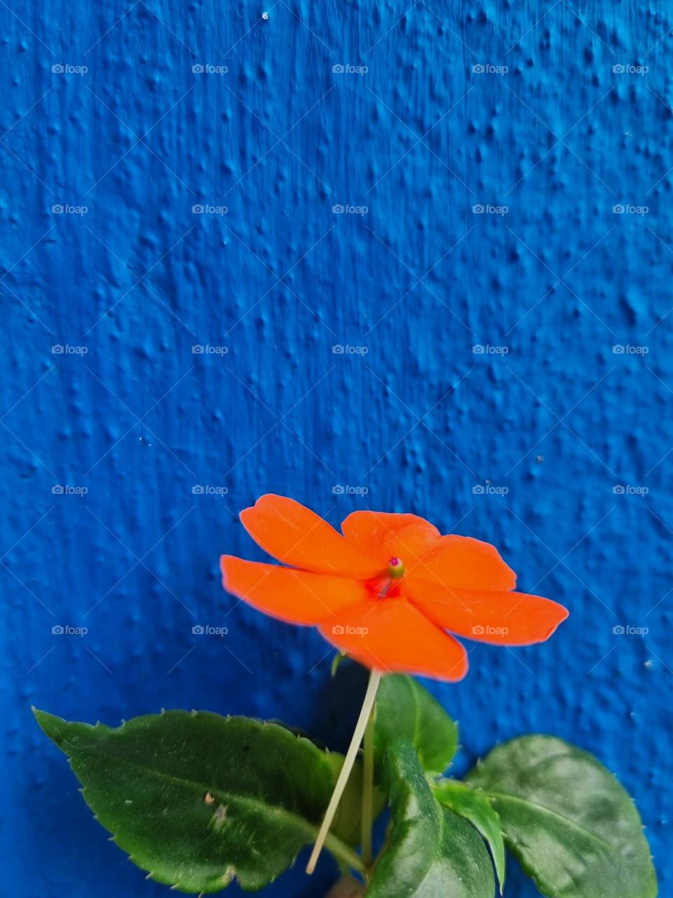 Blue and orange combination