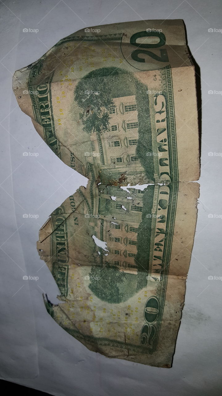 Found 20 on dirt road