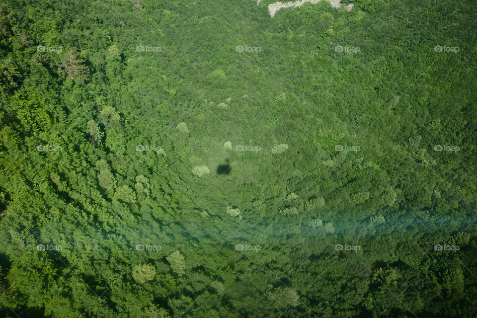 A very high capture of one of the most amazing forest scenes I have ever seen
