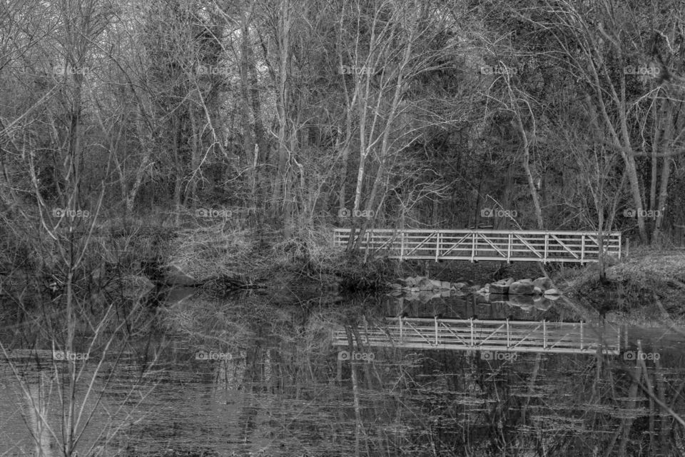 Bridge over pond