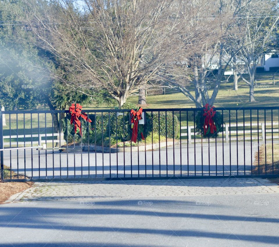 Christmas wreaths on a security gate