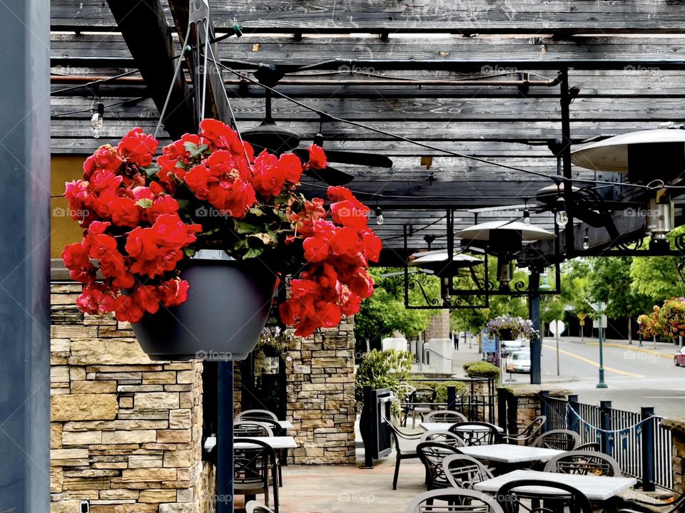 Interior of outdoor cafe with red flowers 