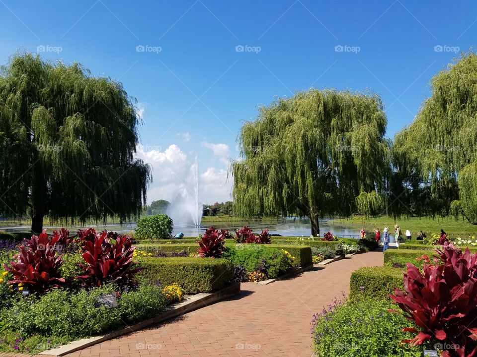 Chicago botanic garden