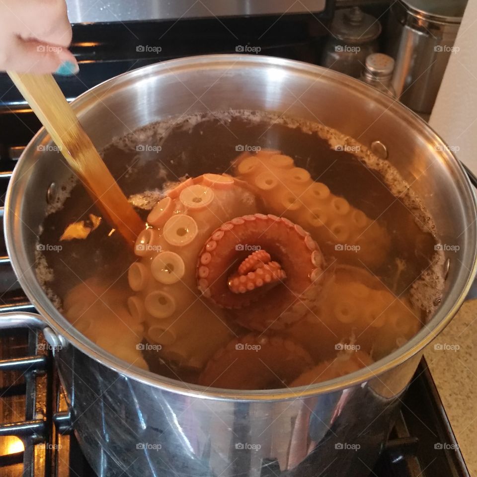 Octopus Dinner