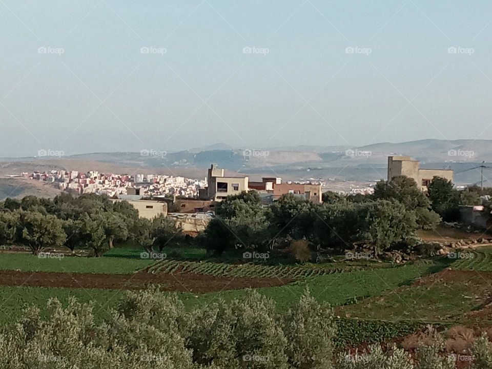 Population between the nature