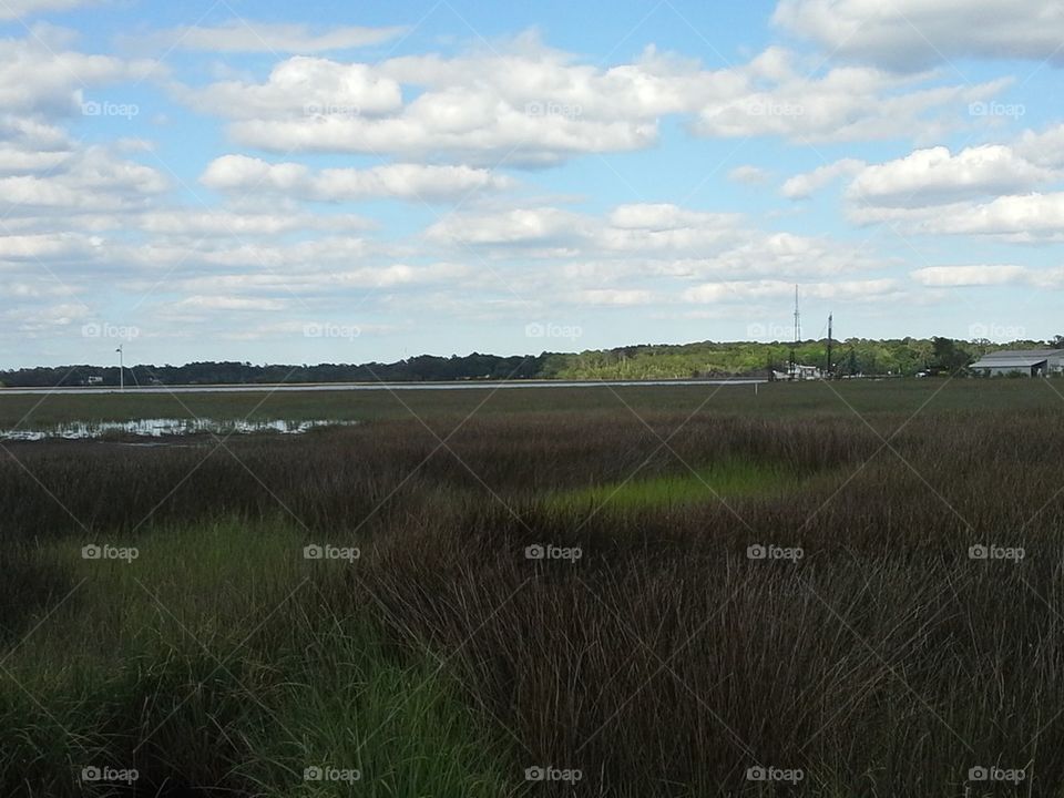 Shrimp Boats in the Distance