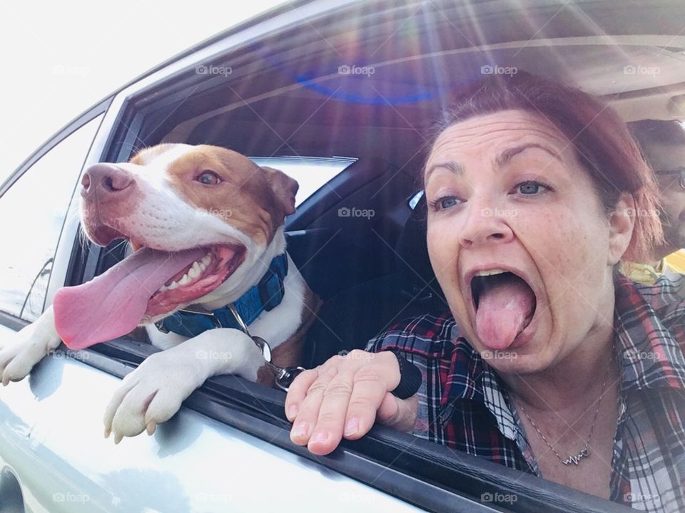 Beautiful pitbull dog and me enjoying a car ride 