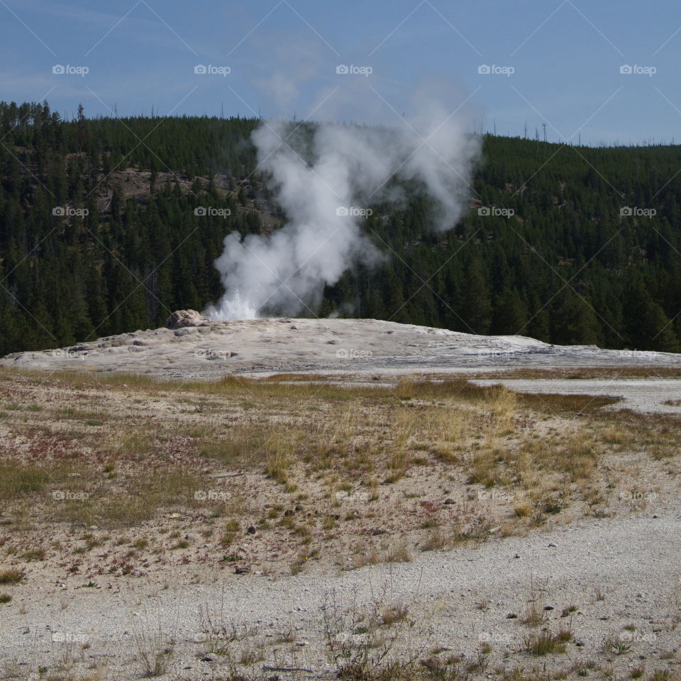 Beautiful, unique, and stunning geology on Geyser Hill in the magnificent Yellowstone National Park on a sunny summer day. 