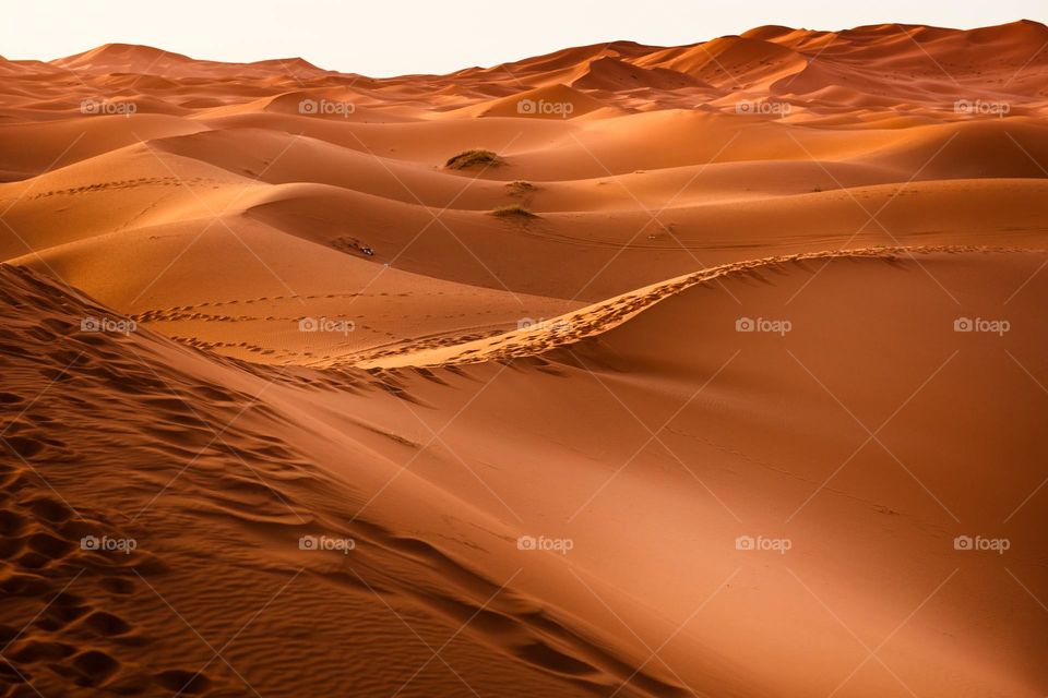 Southern Morocco Desert