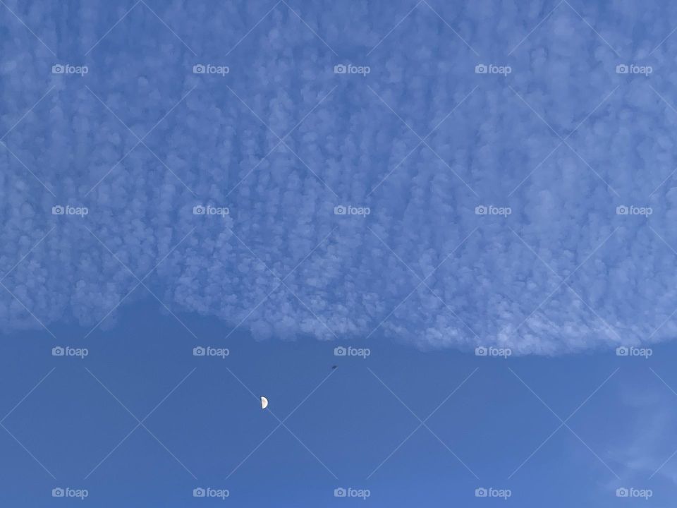 This is the moon in the early evening about to be covered by airplane trail, and the little black speck is a bonus nothing/no see it fly, not a bird… ha ha