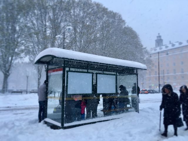 Shelter in the storm