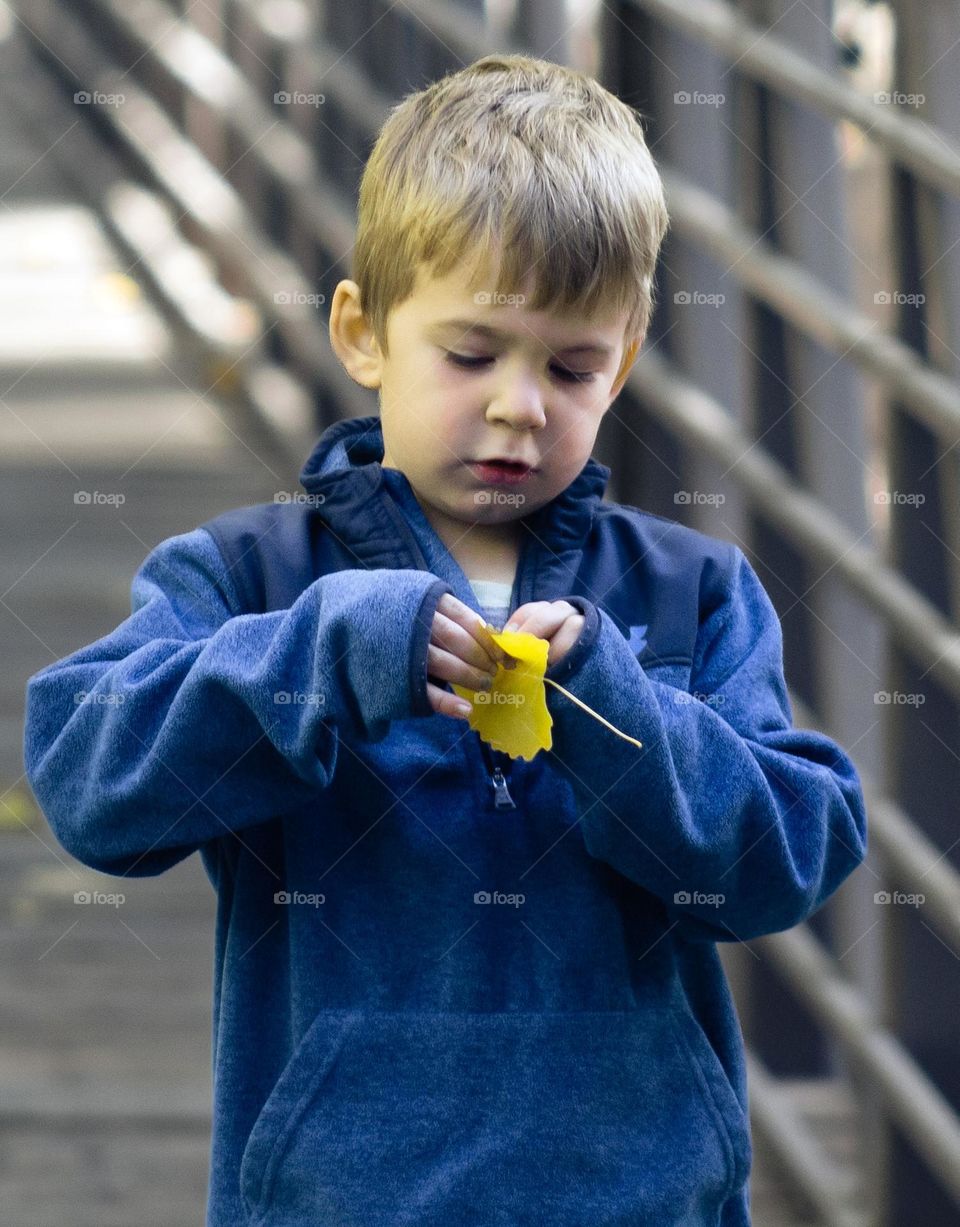 Child looking at fall leaf 