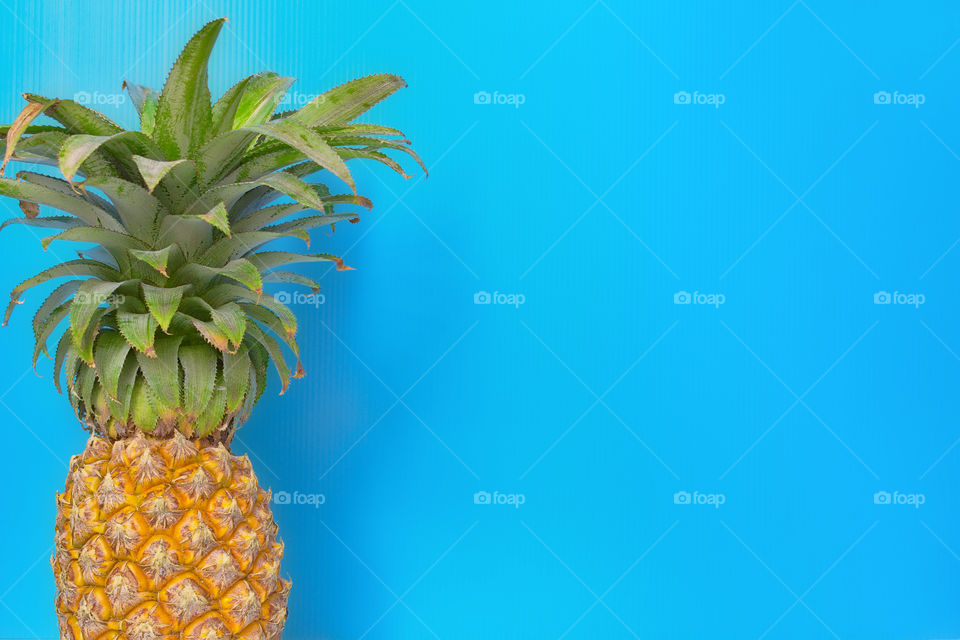 Pineapple fruit on blue copy space background