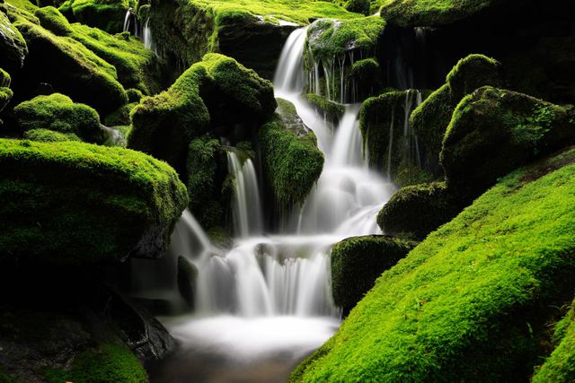 scenic waterfall