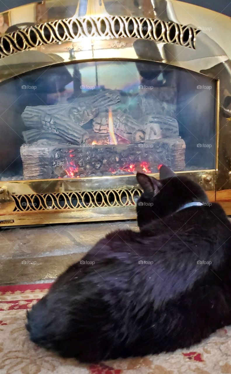Cat laying in front of fire burning in the fireplace. This is a black cat keeping warm.🐾