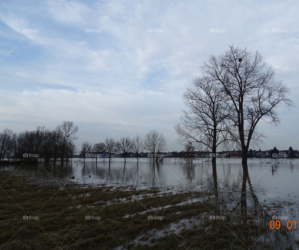 Hochwasser Bonn