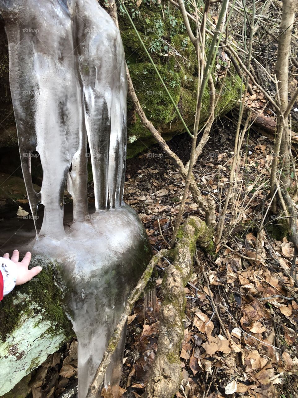 A massive icicle formation on a mossy cliff face in the dead of winter 
