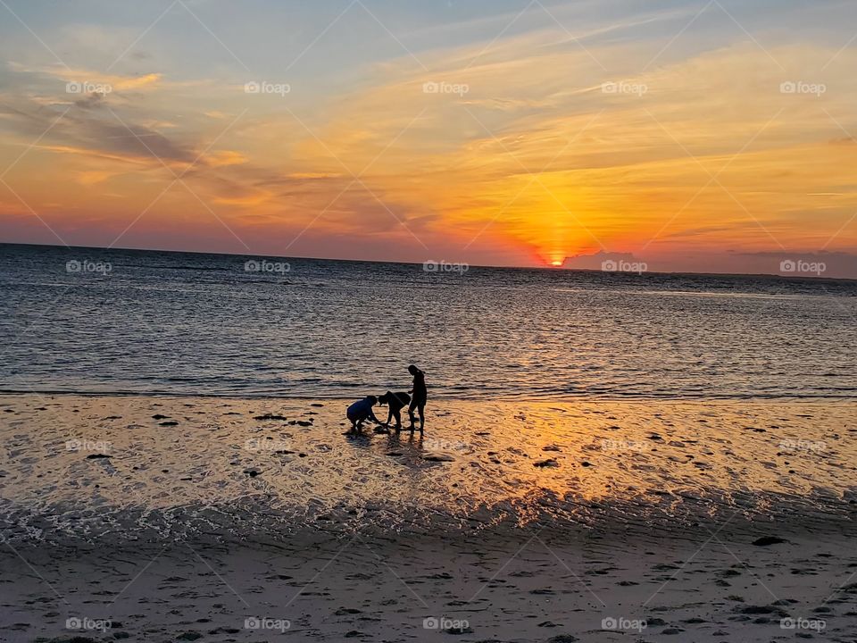 cape cod sunset play