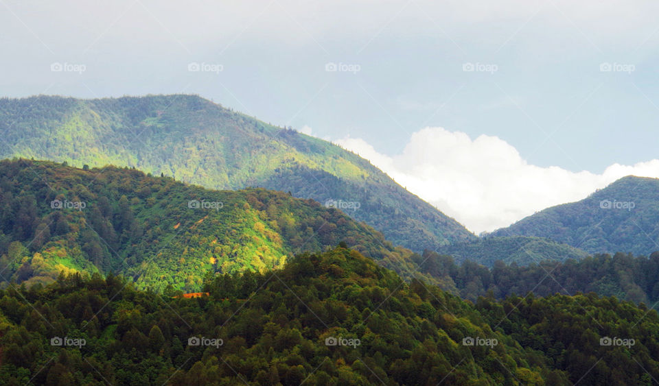 Landscape, Mountain, Nature, Fog, No Person