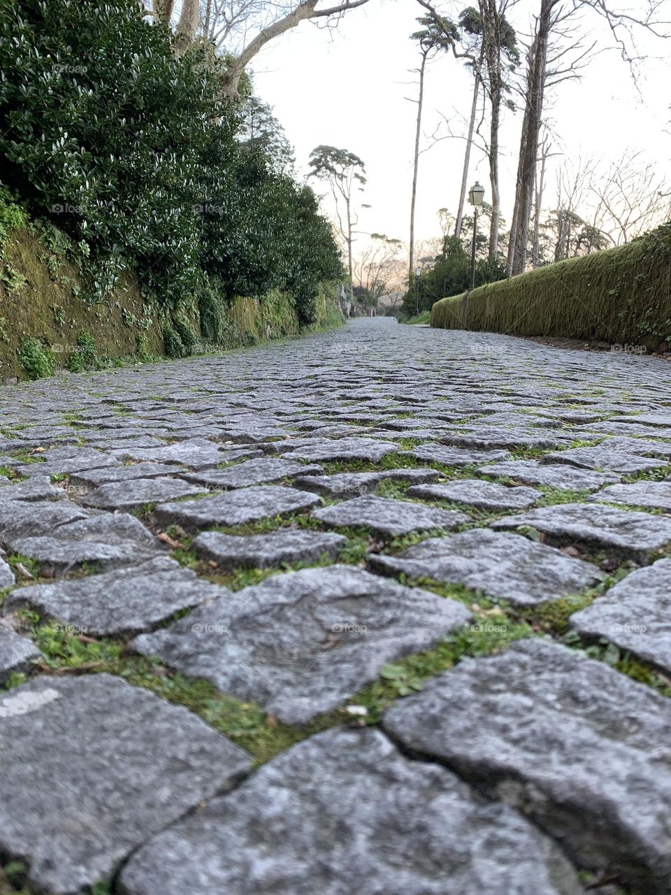 The cobblestones street 