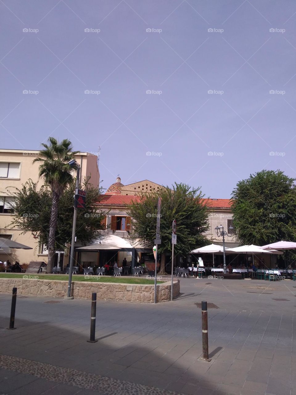 Best of 2021: Nature