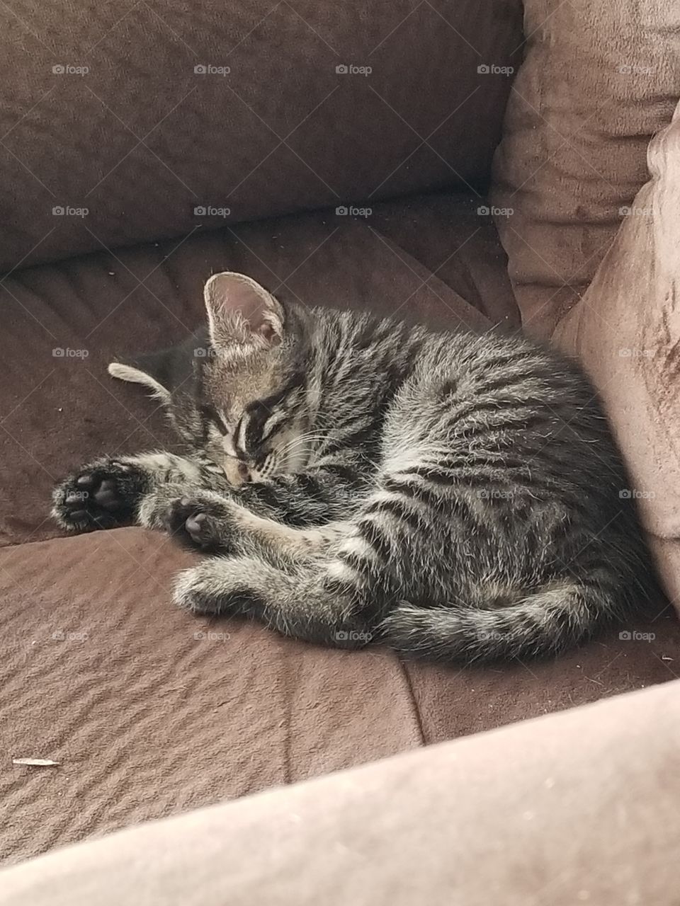 shhh! don't wake the baby.