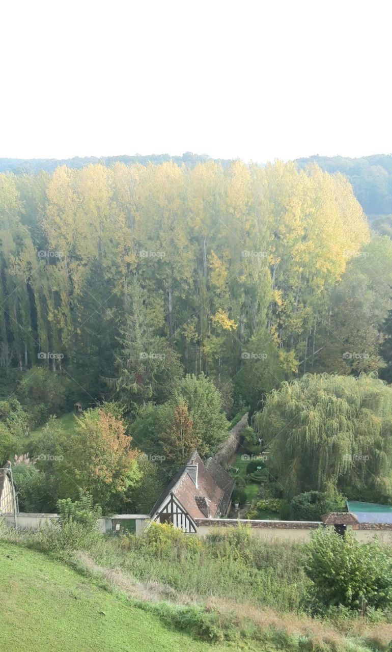 meadows and forest in Normandy