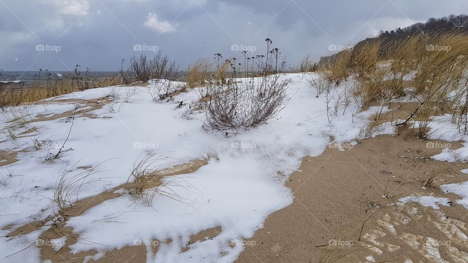 Winter, Snow, Landscape, Cold, Ice