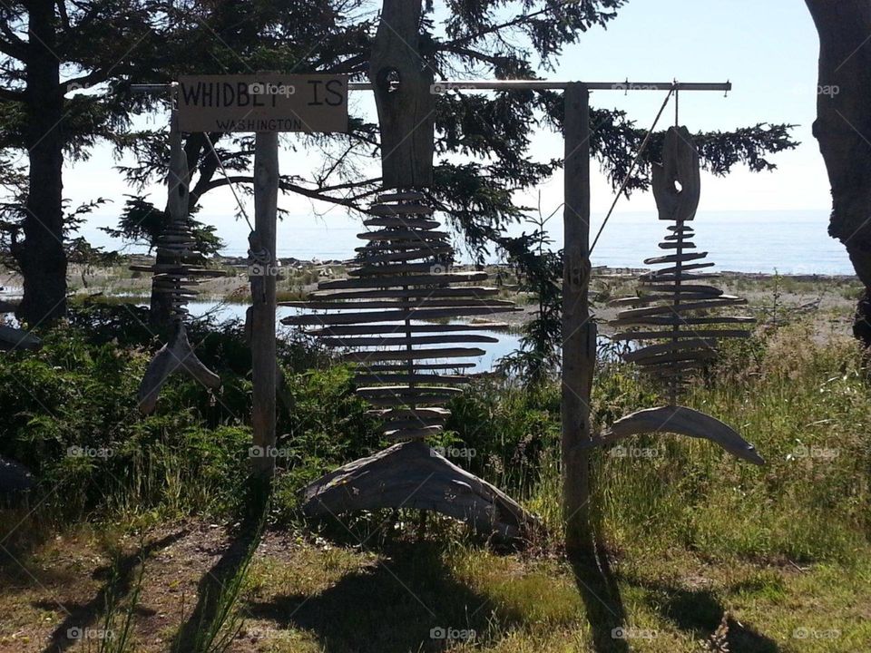 Whidbey Island